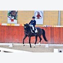 Ingrandisci - BAS1_117634