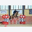 Ingrandisci - BAS1_136544