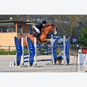Ingrandisci - BAS1_152904