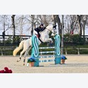Ingrandisci - BAS1_152915