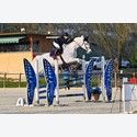 Ingrandisci - BAS1_152916