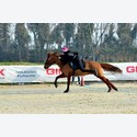 Ingrandisci - BAS1_160200