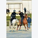 Ingrandisci - BAS1_160212