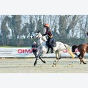 Ingrandisci - BAS1_160216