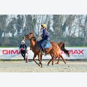 Ingrandisci - BAS1_160218
