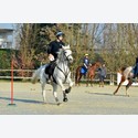 Ingrandisci - BAS1_160222