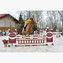 Ingrandisci - BAS1_165811
