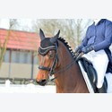 Ingrandisci - BAS1_182358