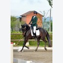 Ingrandisci - LEN_164126