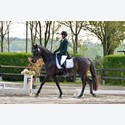 Ingrandisci - LEN_164129
