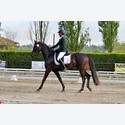 Ingrandisci - LEN_164131