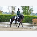 Ingrandisci - LEN_164135