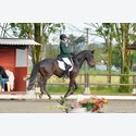 Ingrandisci - LEN_164138