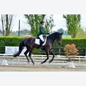 Ingrandisci - LEN_164142