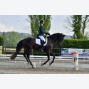 Ingrandisci - LEN_164143
