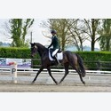 Ingrandisci - LEN_164147