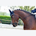 Ingrandisci - LEN_164168
