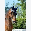 Ingrandisci - LEN_173676
