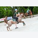 Ingrandisci - LEN_176649