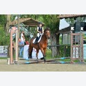 Ingrandisci - LEN_190739