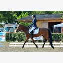 Ingrandisci - LEN_204905