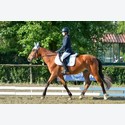 Ingrandisci - LEN_204927