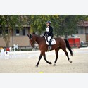 Ingrandisci - LEN_216854