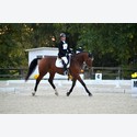 Ingrandisci - LEN_217049