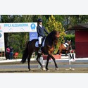 Ingrandisci - LEN_234851