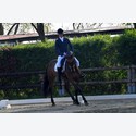 Ingrandisci - LEN_234901