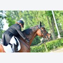 Ingrandisci - LEN_248562
