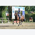 Ingrandisci - LEN_253713