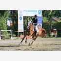 Ingrandisci - LEN_253720