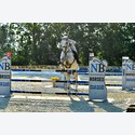 Ingrandisci - BAS1_564321