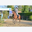 Ingrandisci - LEN_260027