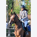 Ingrandisci - LEN_260036