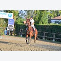 Ingrandisci - LEN_260042