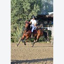 Ingrandisci - LEN_260049