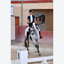 Ingrandisci - BAS1_577155